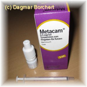 Metacam - Schmerzmittel für Hunde und Katzen